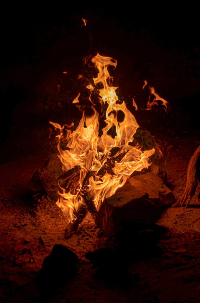 burning wood on the ground